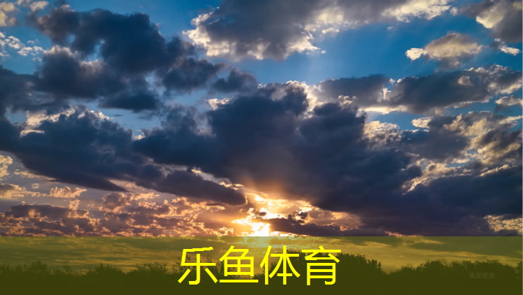 leyu·樂魚(中國)體育官方網站,西北標準塑膠跑道設計