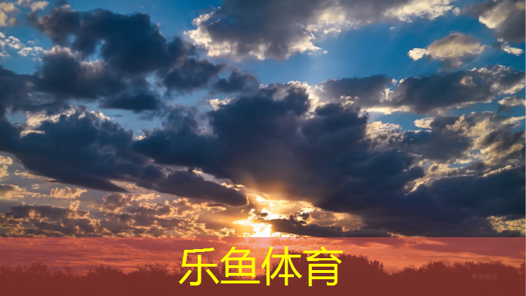 樂魚體育,安陽塑膠跑道施工價格