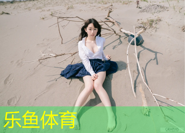 室內(nèi)乒乓球臺哪種好