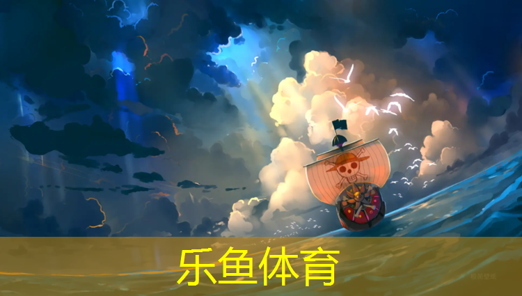 星洛克塑膠跑道